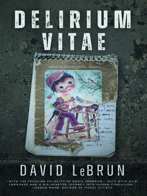 cover image of Delirium Vitae